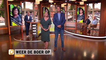 Rtl Boulevard - Afl. 216