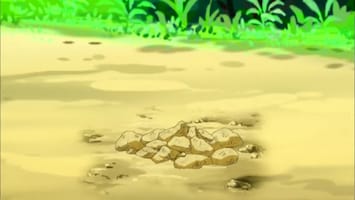 Pokémon - Hier Is De Trubbish Patrouille!