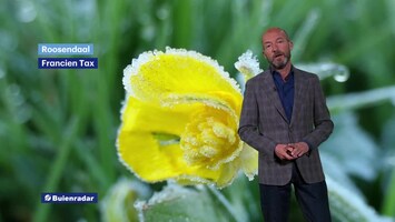 Rtl Weer - Laat 2021