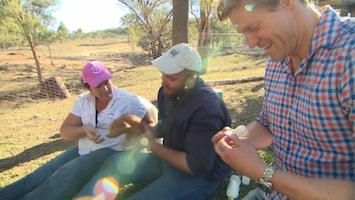 De Dierenkliniek Down Under Afl. 10