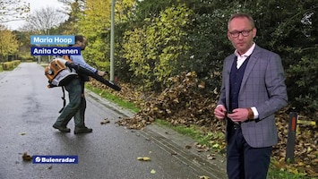 Rtl Weer - Laat