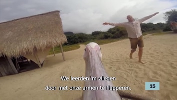 De Vijftien Vetste Video's Van Vandaag Afl. 21