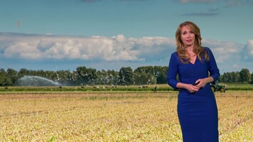 Rtl Weer - Laat