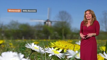 Rtl Weer - 19:55 Uur