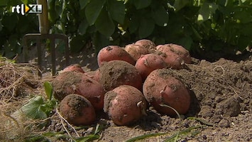 RTL Nieuws DNA van de aardappel is bekend