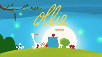 Ollie - Slaapfeestje