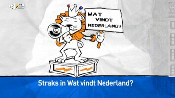 Wat Vindt Nederland? 