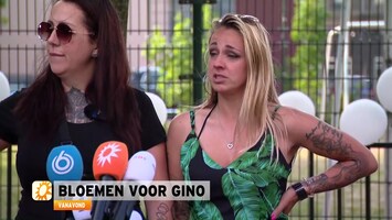 Rtl Boulevard - Afl. 156