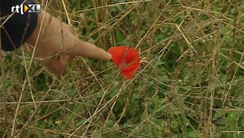 RTL Nieuws Natuur van slag door zachte herfst