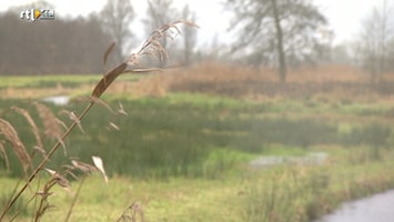 RTL Nieuws RTL Ontbijtnieuws 09:00