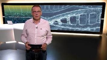 Rtl Nieuws - 19:30 Uur - 08:00 Uur