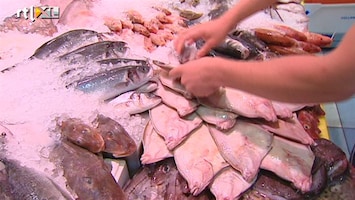 RTL Nieuws Het gaat goed met de vissen in de Noordzee