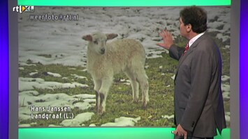 Rtl Weer - 19:55 Uur