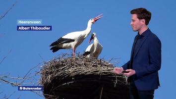 RTL Weer 19:55