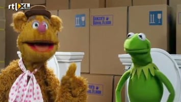 Editie NL De comeback van Kermit