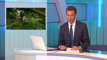 Rtl Z Nieuws - 17:30 - 17:30 Uur