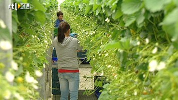 RTL Nieuws Mensen met uitkering weigeren werk