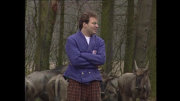 Ernst, Bobbie En De Rest - Dierentuin - Ja Dan Moet Je Huilen