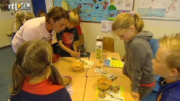 Green-kids Vogelvoer maken