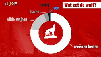 Editie NL 'Schiet af die wolf!'