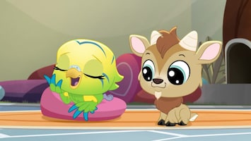 Littlest Pet Shop: A World Of Our Own Afl. 16