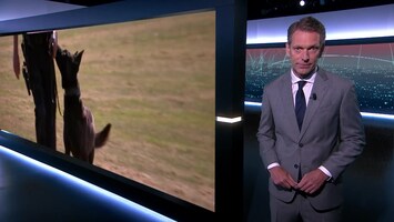 Rtl Nieuws - 19:30 Uur - 19:30 Uur