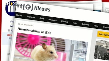 Editie NL Breaking komkommernieuws