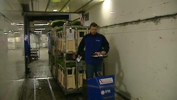 RTL Transportwereld Bloementransport