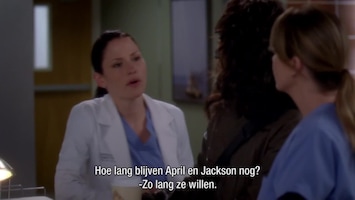 Grey's Anatomy - Can't Fight Biology