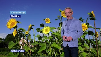Rtl Weer En Verkeer - Afl. 441