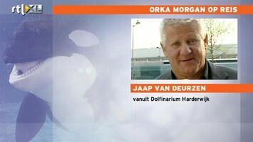 RTL Nieuws Grote politiemacht bij transport orka Morgan