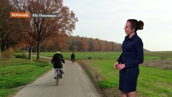 Rtl Weer - Laat
