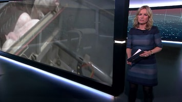 RTL Nieuws 19:30 uur