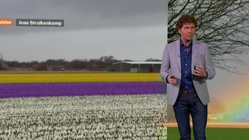 Rtl Weer - 19:55 Uur