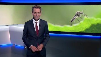 Rtl Nieuws - 19:30 Uur - Laat