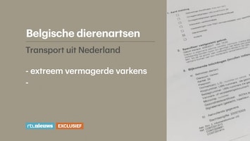 RTL Nieuws 19:30 uur