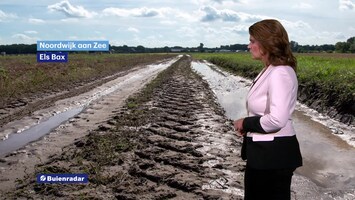 Rtl Weer - Laat
