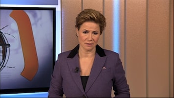 RTL Z Nieuws 12:00 uur