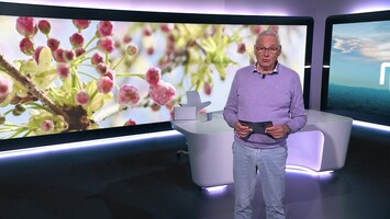 Rtl Nieuws - 19:30 Uur - 08:20 Uur