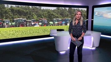 Rtl Nieuws - 19:30 Uur - 08:20 Uur