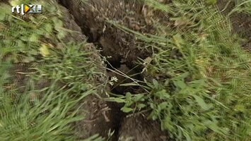 RTL Nieuws Droogte probleem voor dijken