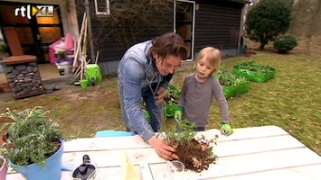 Green-kids Brandnetels: Vraag van de dag