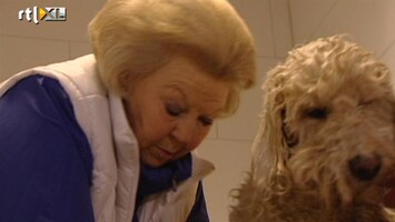 RTL Nieuws Koningin Beatrix wast honden