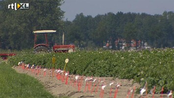 RTL Z Nieuws Tuinders eisen forse schadevergoedingen van het UWV