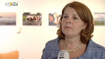 RTL Nieuws Minister: 'Omroep efficiënter en zuiniger'