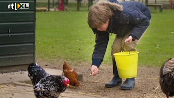 RTL Nieuws Een kijkje op de kinderboerderij