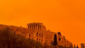 Athene kleurt knaloranje door Saharazand