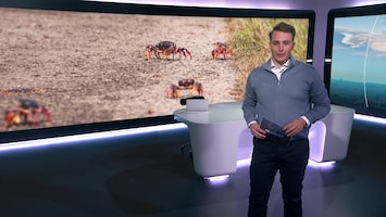 Rtl Nieuws - 19:30 Uur - 08:20 Uur