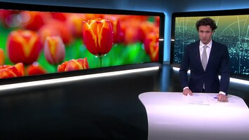 Rtl Nieuws - 19:30 Uur - 18:00 Uur