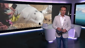 RTL Nieuws 07:00 uur